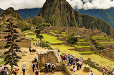 5Machu picchu friends